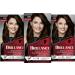Brillance intensive color cream 880 dark brown (160 ml) permanent hair color with diamond gloss and care conditioner for 10 weeks of color intensity 170 ml (3-pack)