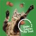 Friskies Party Mix Cat Treats Gravy-licious Crunch Turkey and Gravy - 170 g Pouch (1 Pack) 170 g (Pack of 1) - Buy Online on GoSupps.com