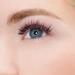 KISS True Volume False Eyelashes - Ritzy 14mm 100% Natural Hair Tapered End Contact Lens Friendly Easy Application Reusable Strip Lashes - Buy Online on GoSupps.com