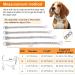 304 Stainless Steel Dog Chain Collar for Training & Walking - Small (10-20kg) - Buy Online on GoSupps.com