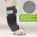 Nature Pet Medium Vorderlauf Bandage for Dogs | Karpal Joint & Bone Protection | Lightweight & Durable | XL Size - Ideal for Joint Instability & Soft Protection - Buy Online on GoSupps.com