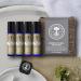 Neal's Yard Remedies Remedies to Roll Collection - Vegan Organic Oils - Travel Friendly Gift Set for Women - 9ml (Night Time, Energy, Relaxation) - Buy Online on GoSupps.com
