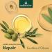 Herbatint Repair Conditioner Baume R parateur Bio - 200 ml | Nourrit et R pare les Cheveux Stress s Secs et Ab m s | 99% Ingr dients Naturels avec Extraits de Moringa Olivier Jojoba et Aloe Vera - Buy Online on GoSupps.com