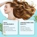  XINRAN rosemary shampoo stronger hair structure rosemary hair growth oil exfoliating scalp shampoo cooling oil non greasy oil growth oils - Buy Online on GoSupps.com