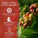 Senseo Coffee 400 Pods Classic (Pack of 10 x 40) - Buy Online on GoSupps.com