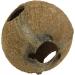 JBL 61513 Coconut Shell Cave for Aquariums & Terrariums - Cocos Cava | International Shipping Available - Buy Online on GoSupps.com