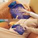 Elephant BAP Free Hot Water Bottle with Cover | 2L Large Hot Water Bag for Pain Relief - Shop Internationally - Buy Online on GoSupps.com