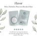 Organic Cleanse & Detox Tea for Women - Mint Dandelion & Burdock Root - 30 Tea Bags - Buy Online on GoSupps.com