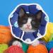 Adjustable Soft Cat Cone Collar | Starry Sky Blue | Postoperative Recovery and Waterproof Protection | Comfortable for Cats, Kittens, Dogs, Rabbits | Small Size - Buy Online on GoSupps.com