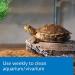 API Turtle Products: Sludge Remover, Water Conditioner, TURTLEFIX Remedy - 8-Ounce Aquarium Cleaner - Buy Online on GoSupps.com