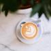 Hatch Starlight - Whole Bean - Premium Light Roast Coffee Notes: Floral Stone Fruit Citrus for Filter - Ethiopia - 300g - Buy Online on GoSupps.com