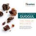 Himalaya Guggul - 60 Vegetarian Capsules for Weight Management & Health - Buy Online on GoSupps.com