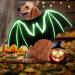 Librnty bat wing dog Halloween dog costume dog asked Wings costume pet bat costume cute Halloween costume for pets cosplay costume for medium dog for parties black 0012