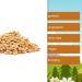 Buy 3.5kg Roasted Peanuts - Salt-Free Blanched Crisp - Nut Fox Bucket | International Shipping Available - Buy Online on GoSupps.com