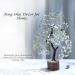 Jade Stone Bonsai Tree: Real Crystals & Healing Stones - Spiritual Gifts for Women, Desk Decor for Living Room & Office - Green Jade Tree - Buy Online on GoSupps.com