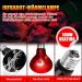 Neptonion 100W Infrared Heat Lamp for Reptiles | UVA Basking Spot Lamp for Snakes Chameleons Geckos & More - Buy Online on GoSupps.com
