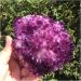 1pc Natural Purple Crystal Flower Like Crystal Cluster Quartz Crystal raw Stone gem Decoration Crystal Cluster (Color : 400g-480g Size : 1pcs) 1pcs 400g--480g - Buy Online on GoSupps.com