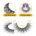 Zegaine 3D Cat Eye False Eyelashes - Natural Look, 12mm Fluffy Wispy Faux Mink - 14 Pairs Pack - Buy Online on GoSupps.com