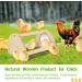 Cubolar Pine Chicken Perch with Mirror and Jungle Gym Roosting Bar | Chicken Toys for Coop and Brooder | Training Perch for Large Birds - Parrot, Macaw, Hens - Buy Online on GoSupps.com