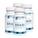 Vitality Now Youthful Brain 4 Bottle Bundle - Memory & Brain Health Support Supplement - Brain Booster Clarity with Bacopa Monnieri, Ginkgo Biloba, B12 - 120-Day Supply (240 Count) 240 Count (Pack of 4)