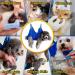 OVTEXZOG Dog Grooming Hammock Harness Dog Sling for Nail Clipping/Trimming Pet Grooming Restraint Bag with Nail Clippers Trimmer Dog Grooming Supplies Kit for Claw Care (X-Small 14LB Max/Blue) - Buy Online on GoSupps.com