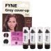 FYNE Root Touch Up Cover Stick - Pack of 4 - Instant Dark Brown Grey Hair Cover Up - Magic Retouch Temporary Hair Colour for Men & Women Dark Brown stick 4