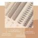 Simer 4 Types Individual Lashes - 220 Clusters, Natural Look Eyelash Extension Kit with Fishtail Lash & False Bottom Lashes - 6-11mm, Makeup DIY - Buy Online on GoSupps.com