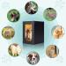 NEWDREAM Dog Urns for Ashes - Wood Keepsake Memorial Pet Ashes Photo Box in Black - Buy Online on GoSupps.com