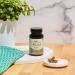 TERRA ORIGIN Detox Cleanse Probiotics 30 Veggie Capsules | 5B CFU | Metabolism Booster with Licorice Root, Amla Fruit, Senna Leaf, Ginger Root | Natural Digestive Support - Buy Online on GoSupps.com