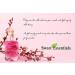 Love Don't Be Shy Type 2oz Organic Perfume Oil - Alcohol & Preservative Free - Buy Online on GoSupps.com