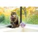 Hartz UltraGuard ProMax Flea & Tick Collar for Cats & Kittens - 2-Pack Purple - Soft & Comfortable Tick Prevention - Buy Online on GoSupps.com