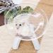 FORYNXHWIN Hamster UFO Exercise Running Wheel White Flying Saucer Plastic Silent Non Slip Disc for Small Animal like Golden Bear Squirrel Hedgehog Climbing ( 18 cm ) - Buy Online on GoSupps.com