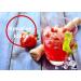 ICE Ours Sirop sans AZO ni glyc rine | Bouteille de 500 ml | Concentr pour Slushy Boissons Maker Machine glace Machine glace 1:5 1:20 (500 ml framboise bleue) Framboise bleue 500 ml (Lot de 1) - Buy Online on GoSupps.com