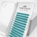 Shop 0.03/0.05/0.07 Easy Fan Volume Lashes | C/D/DD Curl Volume Lash Extensions | International Shipping Available - Buy Online on GoSupps.com