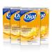 Dial Antibacterial Bar Soap  Gold  8 bars   4 Count (Pack of 1) Gold 8 Count (Pack of 4)