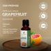 Grapefruit Oil -(Citrus Paradisi)- Essential Oil 100% Pure Natural Undiluted Uncut Therapeutic Grade Oil 33.81 Fl.OZ GRAPEFRUIT OIL 1000ML (33.81 Fl.OZ) - Buy Online on GoSupps.com