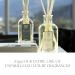 Antica Farmacista Sun Kissed Fine Fragrance 1.7 Fl Oz - Buy Online on GoSupps.com
