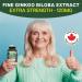 Naka Platinum ORGANIC Ginkgo Biloba Extra Strength Supports Cognitive Function 120 mg per capsule BONUS SIZE 75 Veggie Caps (60+15 Free) - Buy Online on GoSupps.com