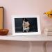 Aura Carver Luxe WiFi Digital Picture Frame 10.1 - Sea Salt | Add Photos Easily with Aura App, Free Unlimited Storage, Videos Playback | Top Digital Photo Frame - Buy Online on GoSupps.com
