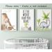 Dinosaur Set of 3 Unframed Poster Prints with Quote for Baby Nursery Decor - Roar A4 - Buy Online on GoSupps.com