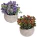 Ciieeo 2pcs Simulated Green Bonsai Artificial Succulents Plants Miniture Decoration Artificial Cactus Small Succulent Plants Silk Plants Greenery Decor Accessories Office Foam Nordic