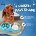 Double Slow Feeder Dog Bowl | Raised Non-Slip Stainless Steel Cat Food & Water Bowl | Detachable Blue Cat Bowl - Buy Online on GoSupps.com