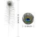 Soarer Long Peacock Feathers Bulk - 25pcs 32-35 inches for Vase, Holiday Decoration & DIY Crafts - Buy Online on GoSupps.com