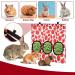 Jeffdad Rabbit Hay Feeder Hanging Hay Feeder Guinea Pig Hay Bag Rabbit Feeder Storage Bag for Rabbits Chinchillas Hamsters Rats and Other Small Pets (3 Hole strawberry) - Buy Online on GoSupps.com