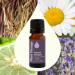 Plant Therapy Blissful Dreams Essential Oil Blend For Relaxation While Supporting Quality Rest Grounding and Soothing Lovely Bedtime Aroma 10 mL (1/3 oz) 100% Pure Undiluted Natural Aromatherapy 0.33 Fl Oz (Pack of 1) - Buy Online on GoSupps.com