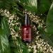 True Botanicals Organic Renew Repair Nightly Treatment Serum - Clean Non-Toxic Natural Skincare (1 fl oz | 30 ml) - Buy Online on GoSupps.com