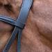 WALDHAUSEN Star Bitless Bridle for Ponies - Premium Quality Black Equestrian Gear | International Shipping - Buy Online on GoSupps.com