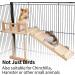 TeTupGa Hamster Bird Perches Cage Toys - Wooden Platform with Climbing Ladder and Swing - Ideal for Green Cheeks, Lovebirds, Chinchillas, and Budgies - Buy Online on GoSupps.com