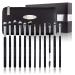 Oscar Charles Eye Makeup Brush Set 12 Makeup Brushes Includes Luxury Cosmetic Bag Silver