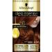 Schwarzkopf Oleo Intense Permanent Hair Dye Light copper brown 5-77 170g Light copper brown 1 Count (Pack of 1)